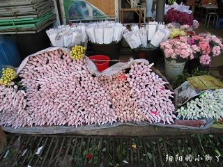 ATHENA_CYY27013935734.JPG ATHENA_CYY27013935734.JPG