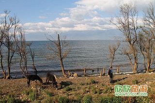 140081_778.jpg 140081_778.jpg