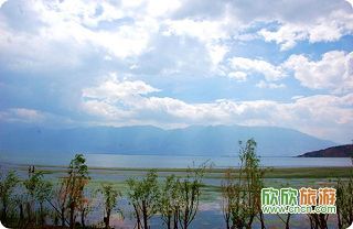 140768_220.jpg 140768_220.jpg