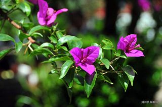 U6393P1032DT20130606165625.jpg U6393P1032DT20130606165625.jpg