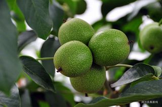 U6393P1032DT20130606165625.jpg U6393P1032DT20130606165625.jpg