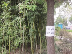 b_65068108.jpg b_65068108.jpg