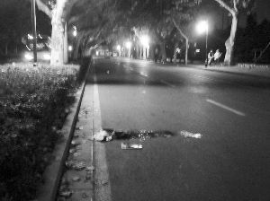 b_65068016.jpg b_65068016.jpg