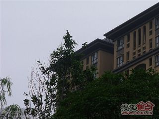 b_65079804.jpg b_65079804.jpg