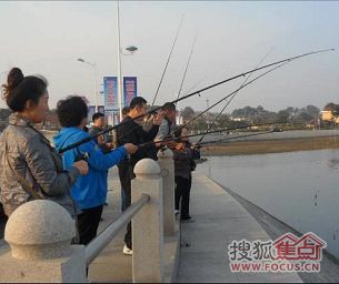 a_65076889.jpg a_65076889.jpg