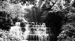 b_75886336.jpg b_75886336.jpg
