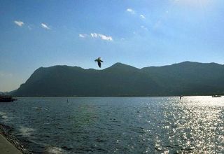 b_78038430.jpg b_78038430.jpg