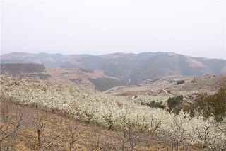 b_83631612.jpg b_83631612.jpg