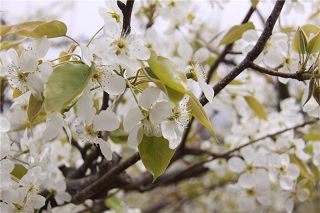 b_83631612.jpg b_83631612.jpg