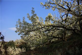 b_83631612.jpg b_83631612.jpg