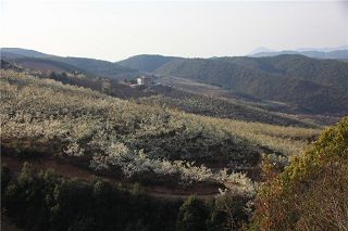 b_83631612.jpg b_83631612.jpg