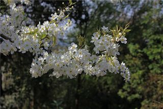 b_83631612.jpg b_83631612.jpg