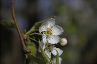 b_83631612.jpg b_83631612.jpg