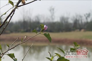 a_64833549.jpg a_64833549.jpg