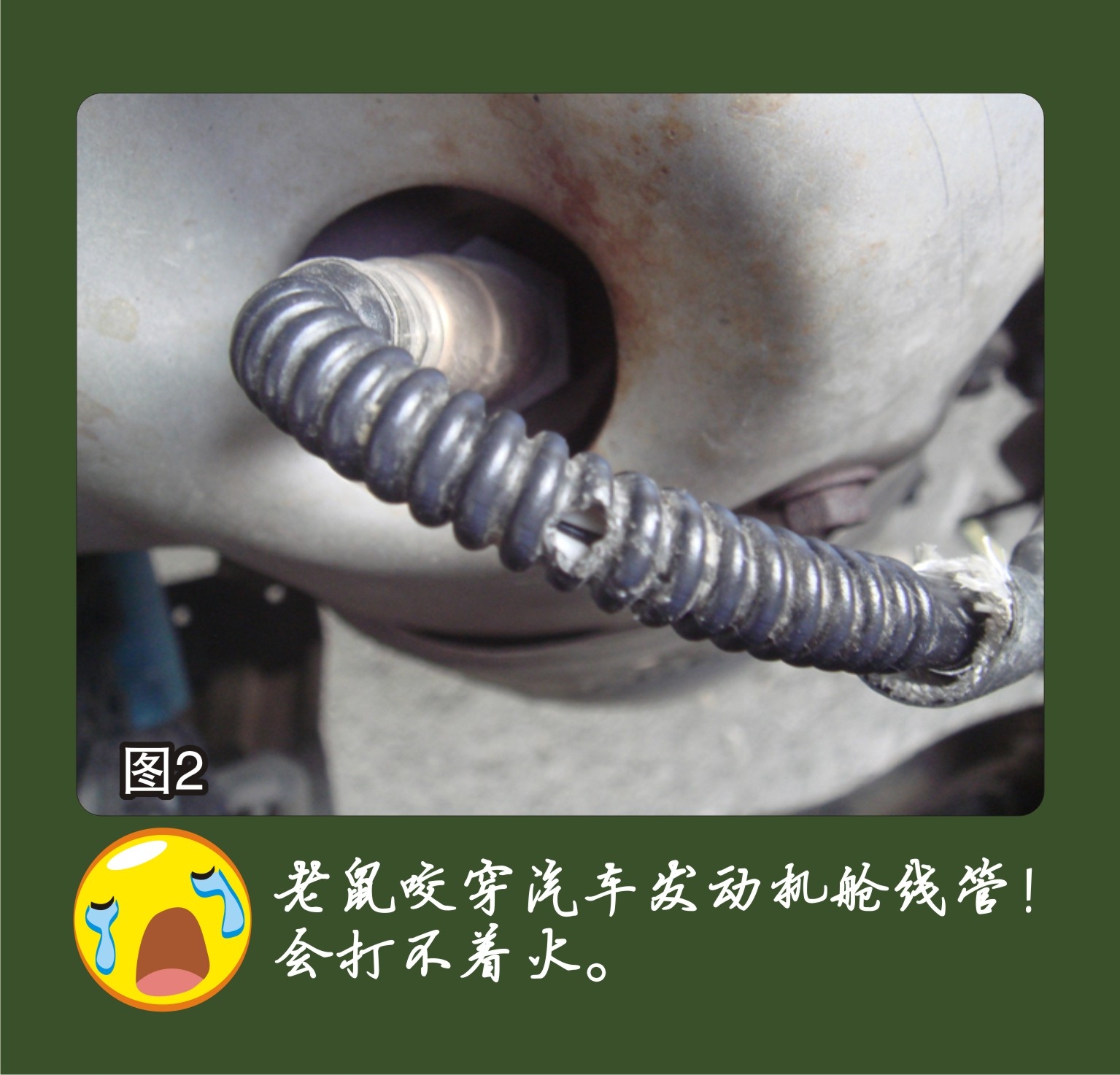 图2.JPG 图2.JPG