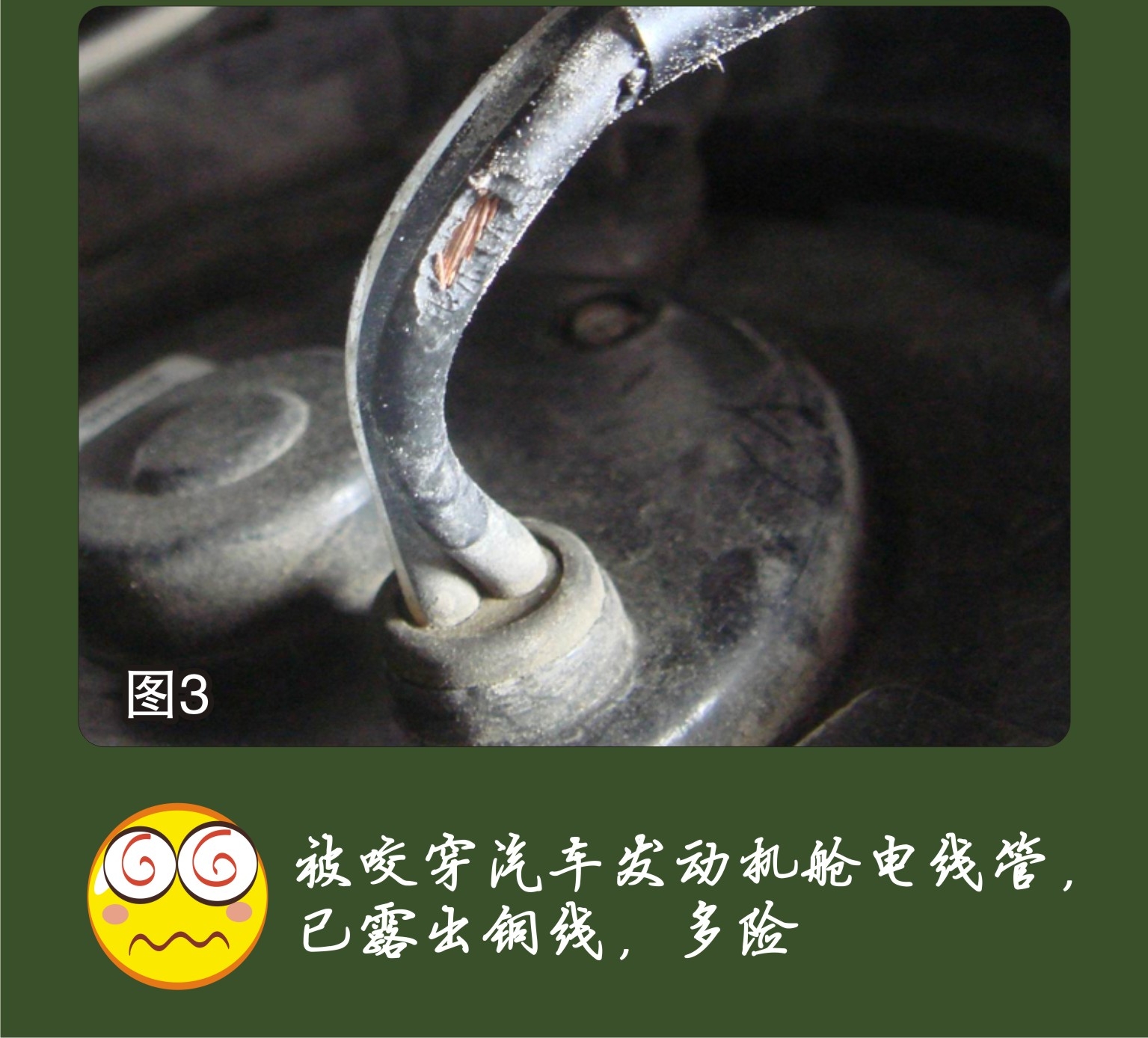 图3.JPG 图3.JPG