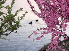 2011102713330123071.jpg 2011102713330123071.jpg