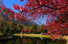 2011102713330123071.jpg 2011102713330123071.jpg