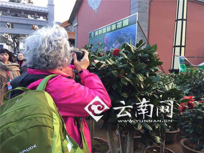 d8cb8a0c6f5b1833ed1917.jpg d8cb8a0c6f5b1833ed1917.jpg