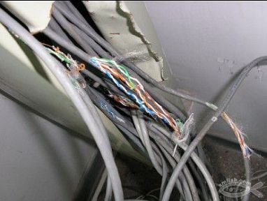 老鼠咬电线2.jpg 老鼠咬电线2.jpg