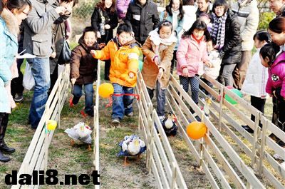图片14.jpg 图片14.jpg