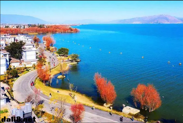 在大理下关怎么游?看洱海,团山公园一日游 在大理下关怎么游?看洱海,团山公园一日游