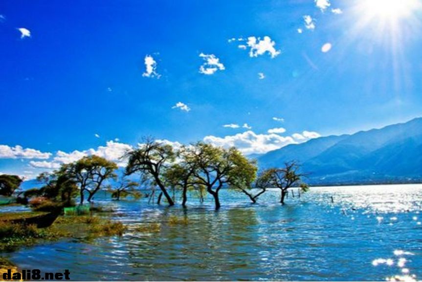 洱海美景 洱海美景