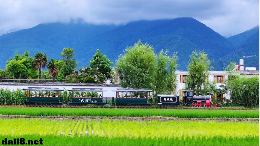 大理洱海之旅_20241118102907.png 大理洱海之旅_20241118102907.png