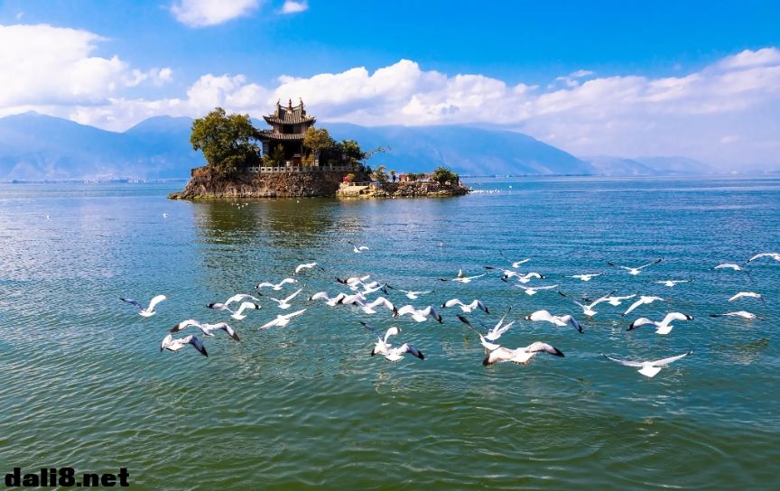 大理洱海风光_20241118101143.png 大理洱海风光_20241118101143.png